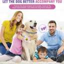 Calming Collar for Dogs 4 Packs Dog Pheromone Calm Collars Relief Anxiety Stress Separation Lasts 60 Days Relieve Bad Behavior 25 Inches Size Flexible Adjustable for All Small Medium and Large Dog (Grey)