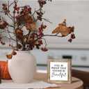 Fall Decor Sign Fall Is Proof That Change Is Beautiful Exquisite Design Autumn Wooden Sign For Home Decor Coffee Table Decoration 5.9x5.9 Inch