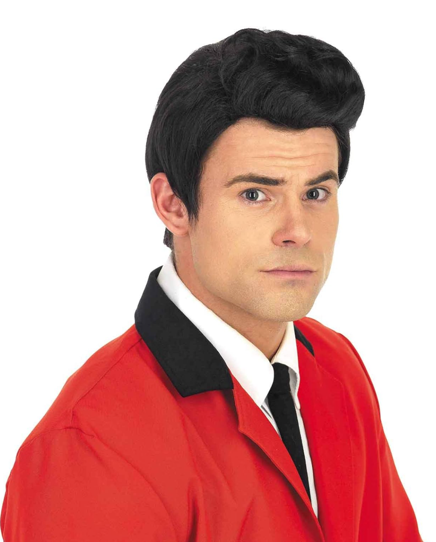 fun shack 50's Men's Black Wig with Sideburns, 1950s Costume Wig for Men, Retro Black Wig for Boys, One Size