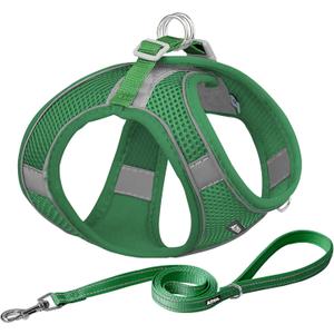 AIITLE Comfortable Dog Harness and Leash Set for Walking - Step in Vest Harness,Reflective Bands, Adjustable No Pull Puppy Essentials, for Small Dogs and House Cats Green XS