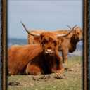 Black Gold 16x20 Picture Frame with Mat, Vintage Wood Photo Frame for Real Glass, Matted 11x14 or 16 x 20 Photos, Easy Photo Changes, Wall Hanging, Antique Ornate Wall Art