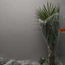 2 Set Artificial Palm Tree 4ft Tall with 19 Trunks Detachable Faux King Palm Tree Fake Plants in Pot for Indoor Home Office Living Room Floor Decor