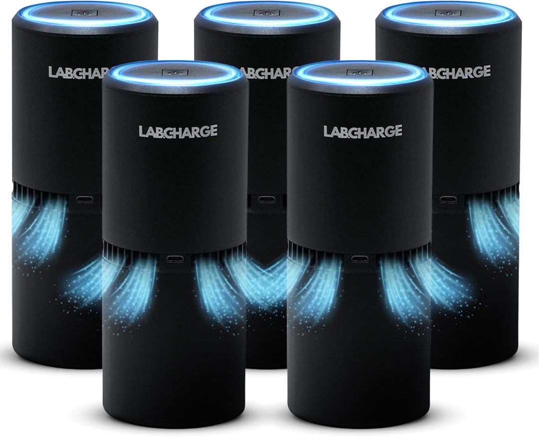 LabCharge Small Ionic Air Purifier for Home & Bedroom  Silent HEPA Filter  Covers 250 Sq Ft - Free Cleaner for Pets, Hair, Smoke, Dust, Odors & Dander  Compact & Black Design - Pack of 5
