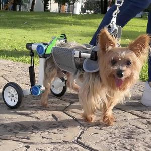 Dog Wheelchair, Adjustable Dog Wheelchair for Back Legs, Stable Dog Cart for Disabled Hind Legs, Help Small Pets with Paralyzed Hind Legs Regain Mobility