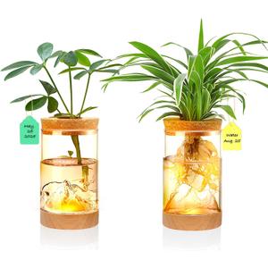 2Pcs Plant Propagation Station with Mountain-Shaped Bottom - Hydroponic Glass Vases, Wooden Base with Lighting, Terrarium Jars for Indoor Growing, Desktop Vivarium, Ideal Gifts for Plant Lovers