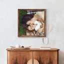 20x20 Picture Frame, Classic Brown Poster Frame, 1 Pack