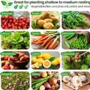 3pcs Galvanized Raised Garden Bed Outdoor, Above Ground Garden Bed for Vegetable, Metal Raised Beds for Flower, Steel Raised Beds for Gardening - 4x2ft