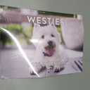 Westie Calendar 2026 West Highland Terrier Gifts Westies Monthly Wall Calender 12 Month | American Made In The USA