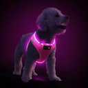 PcEoTllar Light Up Dog Harness, LED Dog Harness for Puppy Small Medium Dogs, Rechargeable No Pull Reflective Dog Harness, Flashing Lighted Dog Harness for Night Walking (Pink, M)