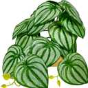 Woyrise Reptile Plants for Terrarium Decor, Ball Python Tank Accessories fit Bearded Dragon Crested Leopard Gecko Lizard Chameleon Snake Frog Tortoise Hermit Crab - Fake Calathea Orbifolia