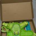 PoyPet No Pull Dog Harness, No Choke Reflective Dog Vest, Adjustable Pet Harnesses with 2 Leash Attachments with Easy Control Padded Handle for Small Medium Large Dogs(Green Matching Trim,S)