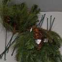 CraftMore Set Of 12 Wild Wood Pine Picks