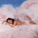 Teenage Dream Explicit Lyrics