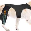 Dog Knee Brace for Hind Legs ACL Support - Adjustable Double Dog Leg Brace for Joint Pain Relief, Luxating Patella, Arthritis Recovery, Secure Fit Orthopedic Wrap for Small Medium Large Dogs (XL)