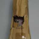 Clever Creations White Vintage Santa 14 Inch Traditional Wooden Nutcracker, Festive Christmas Dcor for Shelves and Tables