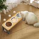 Elevated Cat Bowls with 3 Stainless Steel Bowls | 10 Tilted Anti-Vomiting Raised Cat Food Bowl for Small Cats and Puppies Pet Bowl with Stand