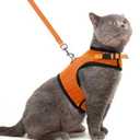 PUPTECK Soft Mesh Cat Vest Harness and Leash Set Puppy Padded Pet Harnesses Escape Proof for Cats, Dogs Rabbits Bunny, Orange, XL