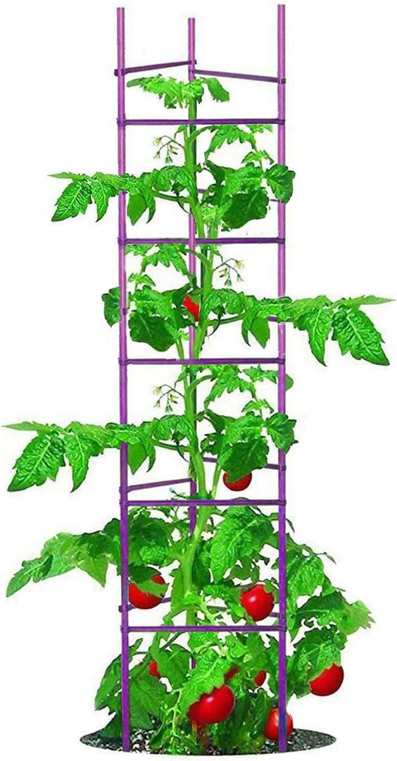 Growsun Large Tomato Cage 6 Pack Upto 73 inch Tall Tomato Trellis Garden Stakes Plant Support,Purple(5ft Stake add 18 inch Adjustable Stakes)