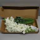 White Delphinium Artificial Flowers,8PCS Long Stem Silk Larkspur Flowers 33.5'' Faux Delphinium Stems for Tall Vase Home Wedding Table Decor(White)