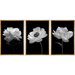 SIGNWIN Framed Wall Art Print Set Black and White Poppy and Carnation Still Life Shapes Patterns Illustrations Modern Bohemian Multicolor Cool for Living Room, Bedroom, Office - 16"x24"x3 Natural (Shape-2011-m04)