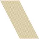 20 Pieces 2mm Brass Round Rods, Sutemribor Brass Solid Round Rod Lathe Bar Stock, 2mm in Diameter, 305mm in Length