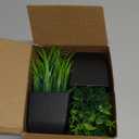 Der Rose 2 Pack Fake Plants Small Artificial Potted Plants Faux Plants Black Bathroom Accessories for Home Office Desk Bathroom Decor Indoor