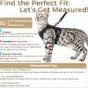 Cat Harness and Leash Set Escape Proof Tactical Extra Large Kitten Harness Emotional Support Cat Vest, Black, XXL