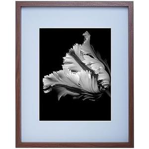 Mikasa Walnut Gallery Photo Frame, Displays 11x14 Photo with mat and 16x20 Photo without mat