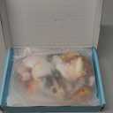 Sea Shells Mixed Beach Seashells 9 Kinds 1.2"-3.5 "Various Sizes Natural Seashells and 2 Kinds of Natural Starfish for Beach Themed Party DIY Crafts Fishtank Vase Fillers Home Wedding Decorations