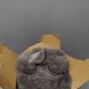 blunique Ultra Soft Cozy Faux Fur Throw Blanket-Fuzzy Plush Thick Bubble Blanket, Fluffy Blanket for Couch, Sofa, Bedroom, and Living Room, 50x60 Inches, Dark Grey Taupe