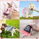 6 Pack Girl Dog Clothes Pet Dress Shirt Female Cute Dog Sundress Puppy Christmas Apparel Clothes Outfits with Ruffles for Pets Cats(Small)