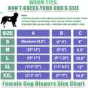 wegreeco Washable Female Dog Diapers Highly Absorbent Reusable Diapers for Dog in Heat Dog Period, 3 Pack (Large (Large (15"-17" Waist), Champagne Colour)