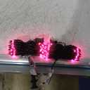 Red Christmas String Lights, 50 Count 12 Feet Incandescent Bulb Mini Valentine's Lights, Waterproof Red Lights for Indoor Valentine's Day Garland Birthday Wedding Party Festival Xmas Tree Decoration