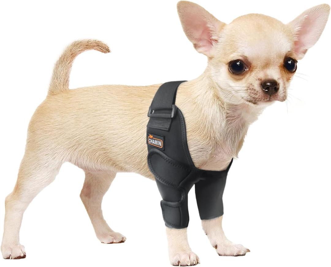 CHAMIN Dog Elbow Brace for Elbow Support and Protection, Protector Pads Hygroma, Elbow Pads for Dogs Dysplasia, Calluses, Elbow Wound Healing,etc., (Both Legs,XS)