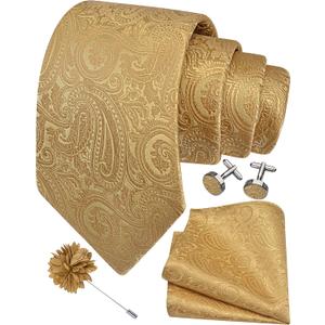 GUSLESON 3.15"8cm Mens Tie and Lapel Pin Paisley Necktie Hankerchief Cufflinks Set for Men