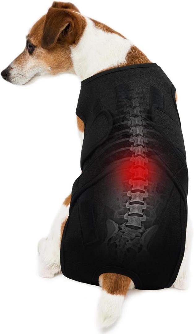 Back Brace for Dogs,Pet Back Support Vest for IVDD,Breathable Comfortable Spinal Surgical Recovery and Pain Relief Suit,Prevent Dog Back Disease,Black 2XL (XX-Large)