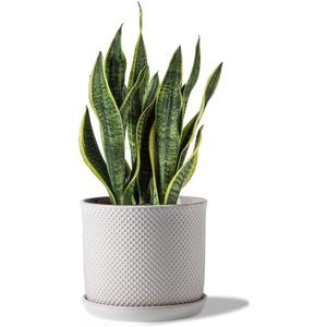 8 Inch Plant Pots: Ceramic Planter with Drainage Hole & Saucer - Flowerpot for Indoor & Outdoor Plants - Beaded Embossed Design White - with Separate Tray