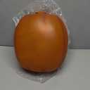 Jabberin Jack Rockin Jack Edition Talking Animated Pumpkin with Built in Video Projector & Speaker Plug'n Play