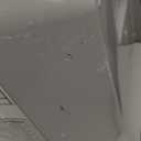 GE Appliances 2.5 Gallon, Versatile Mini Tank Water Heater with Adjustable Thermostat, Easily Installs Under Sink, 120v, GE02P08BAW