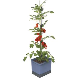 BUZZY Seeds Self-Watering Vertical Tomato Planter, Trellis, 1.2 Gal, Blue | Self-watering vertical planter with aluminum trellis & 1.2-gal reservoir; grows tomatoes & climbers; blue finish for patios