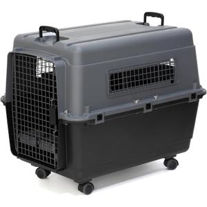 SportPet Designs Plastic Airline Approved Kennels Wire Door Travel Dog Crate, Large