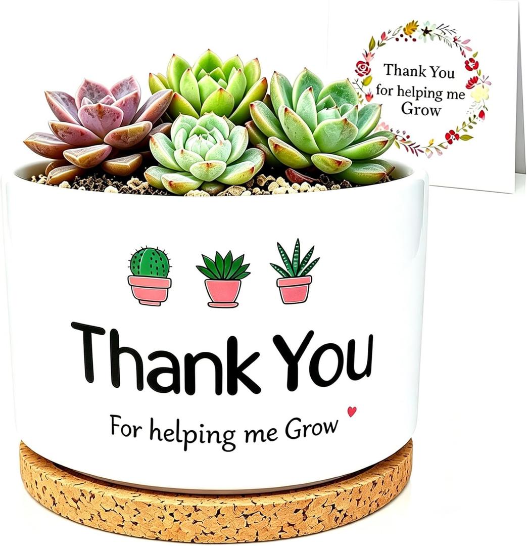 Teacher Appreciation Gift, Teacher Week Present from Student, Plant Pot for Succulent, Thank You for Helping Me Grow, Retirement Thank You Gift for Teacher, Small Flower Planter for Indoor Outdoor