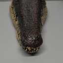 Floating Alligator Head,Alligator Head Decoy for Pool,Resin Crocodile Head for Swimming Pool and Pond,Deterrent Ducks,Predator,Heron etc,Outdoor Statues,Garden Home Decor Art