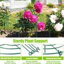 4 Pack Peony Cages and Supports, 11.5" Dx16 H Plant Supports for Outdoor Plants, Heavy Duty Metal Peony Support Cage Flower Support Rings, Plant Support Ring for Rose Tomato Hydrangea Strawberry