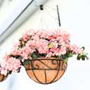 LaLaGreen Hanging Planter for Outdoor Plants (16 Inch, 6 Pack) Hanging Baskets with Coco Liner, Black Metal Wire Flower Basket Pots with Hook Hanger Balcony Porch Farmhouse Country Style Garden Decor