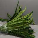 FOREST PRINCE 50" Artificial Boston Ferns, Fake Bush Plants, Large Faux Ferns with 96 Fronds for Outdoors Home Decor (50" 1 Pcs)