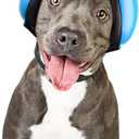 Dog Ear Muffs for Noise (M, Blue)