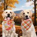 5 x Fall Dog Bandanas Small 3PCS, 6 Pattern Thanksgiving Scarf for Boy and Girl, Pumpkin Leaves Flowers Triangle Reversible Bibs Breed for Puppy Pets