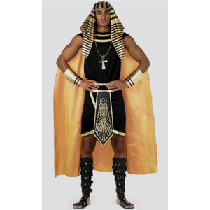 Morph Egyptian Costume Men, Pharaoh Costume Men, Egyptian Halloween Costumes For Adults,M