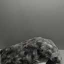 ZonLi Fluffy Body Pillow for Adults, Fuzzy Faux Fur Body Pillow with Shredded Memory Foam, Adjustable Support for Side Sleepers, Pregnancy & Bedding Decor, Valentines Day Gifts, 20 x 54 Inch, Grey